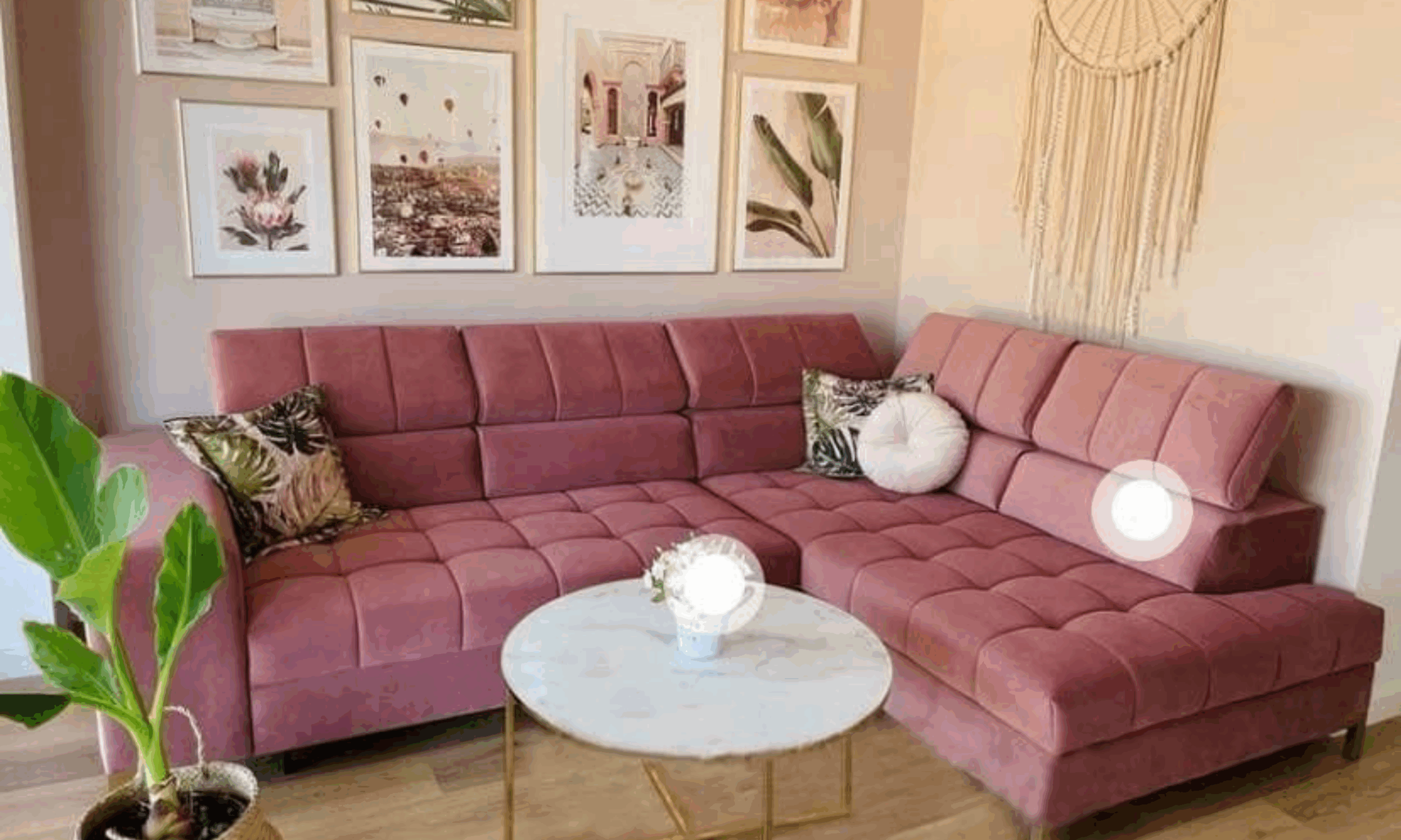 COLUMBIA – Image 2